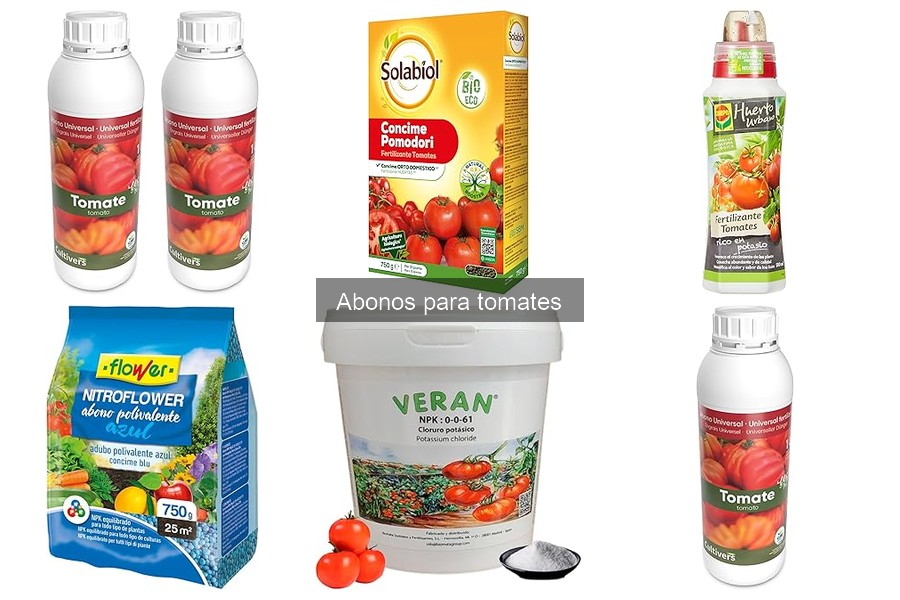 Cómo elegir el mejor abono para tomates en tu huerto urbano