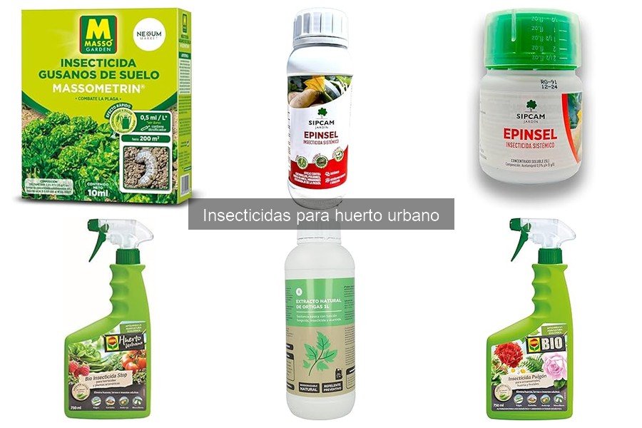 ** Cómo elegir el mejor insecticida para tu huerto urbano