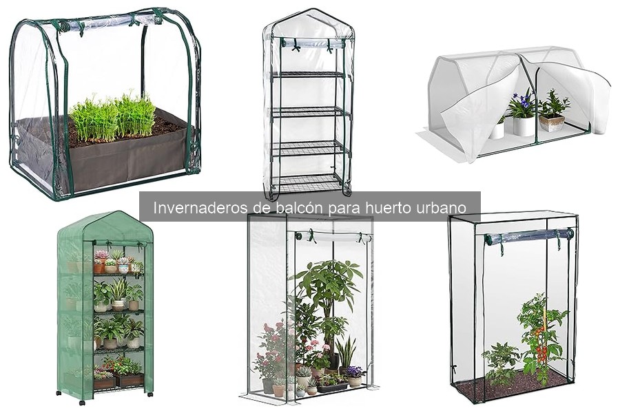 Cómo elegir el mejor invernadero de balcón para tu huerto
