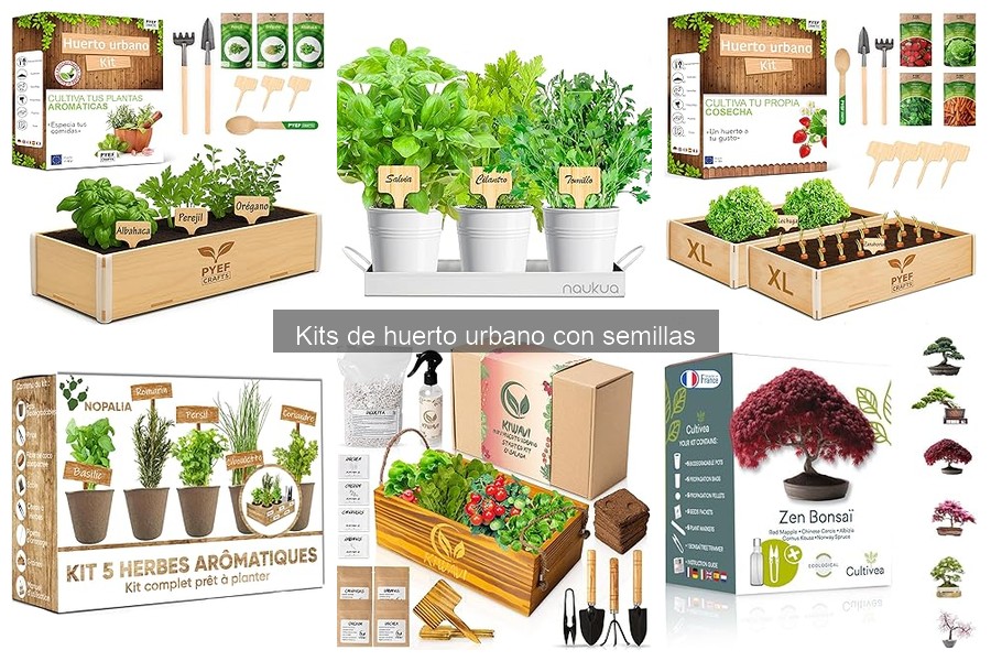 Cómo elegir el mejor kit de huerto urbano para ti