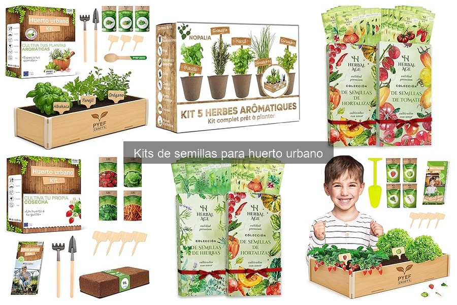 Cómo elegir el mejor kit de semillas para tu huerto urbano
