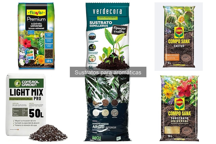 Cómo elegir el mejor sustrato para aromáticas en tu huerto