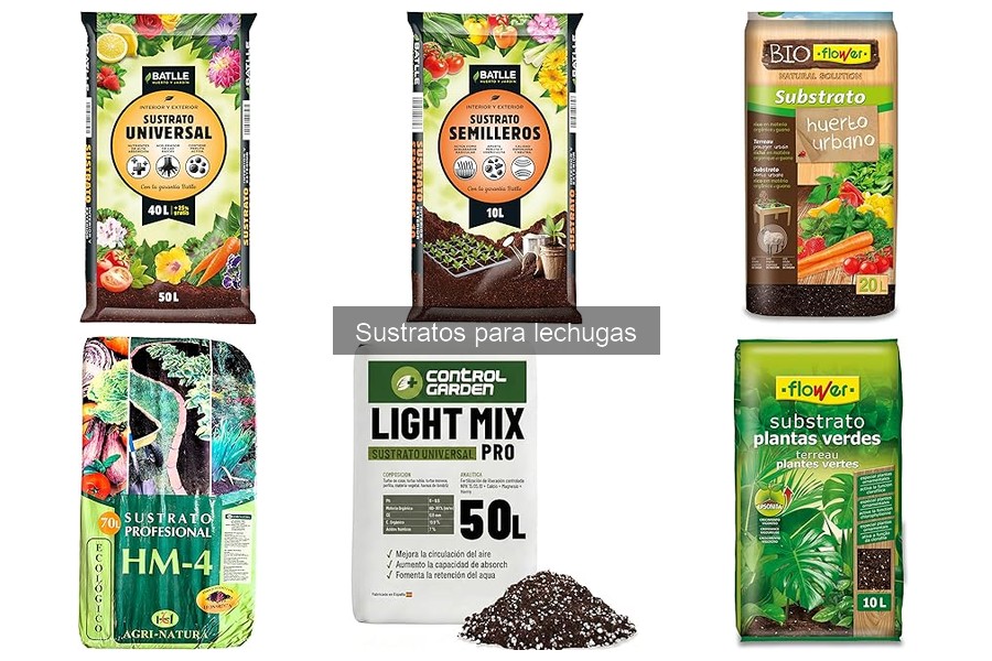 Cómo elegir el mejor sustrato para lechugas: Guía de compra