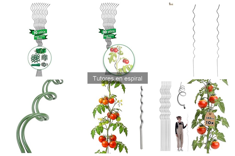 Cómo elegir el mejor tutor en espiral para tus plantas
