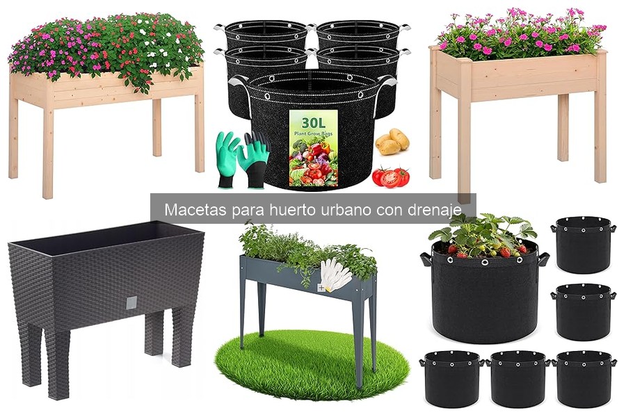 Cómo elegir el tamaño de maceta con drenaje para tu huerto