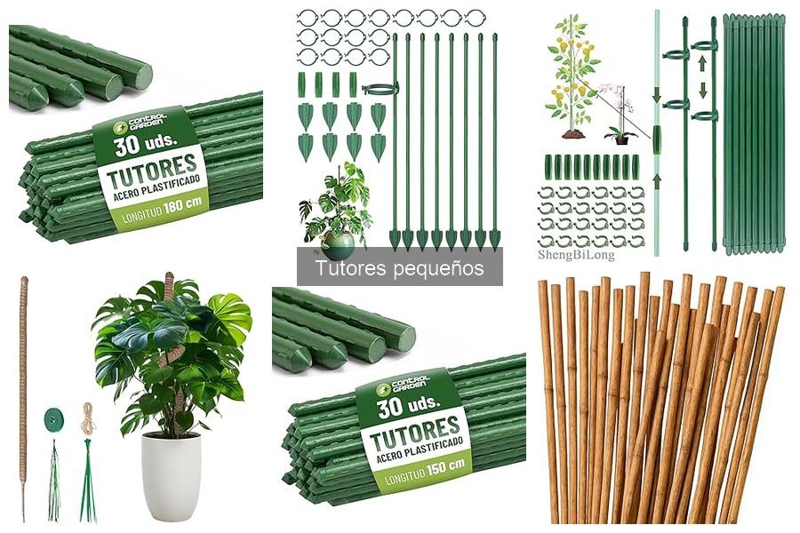 Cómo Elegir el Tutor Pequeño Ideal para tus Plantas