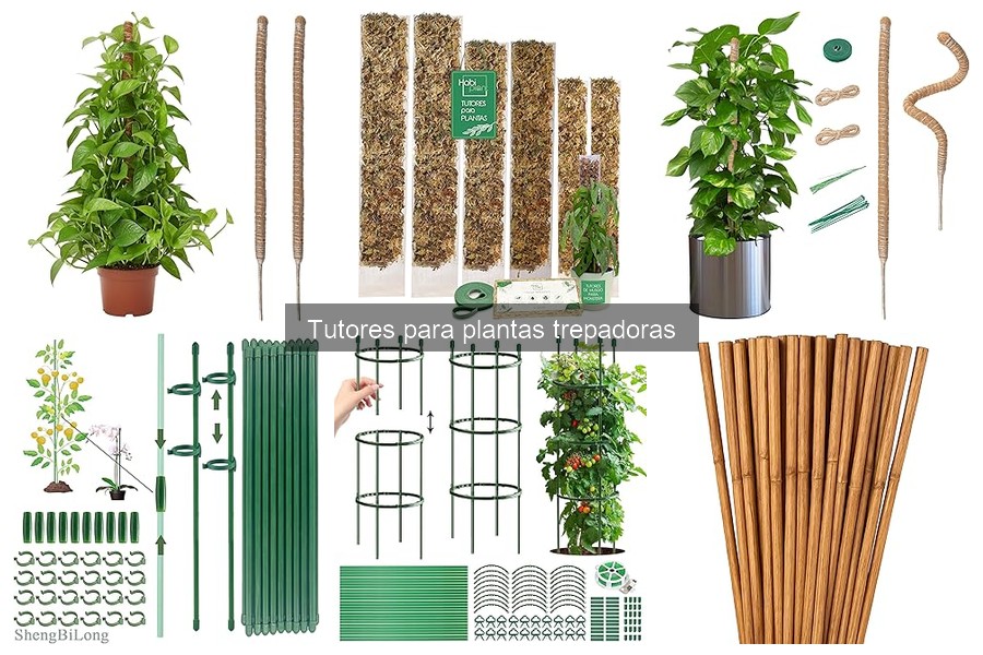 Cómo elegir el tutor perfecto para plantas trepadoras