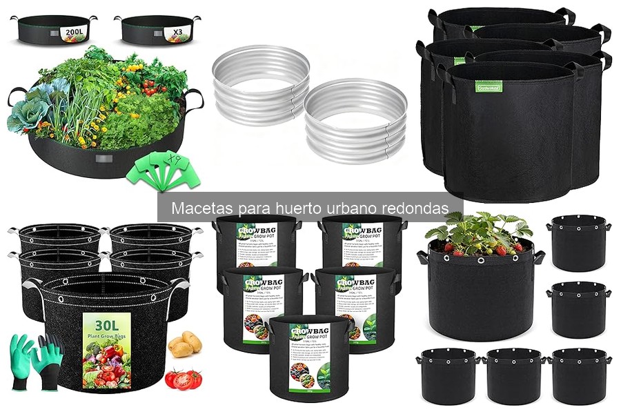 Cómo elegir la maceta redonda ideal para tus plantas