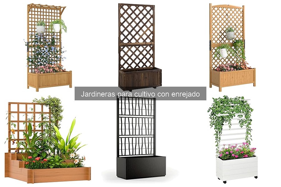 Cómo elegir la mejor jardinera con enrejado para tu huerto