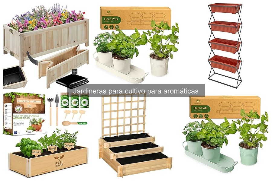 Cómo elegir la mejor jardinera para aromáticas en casa