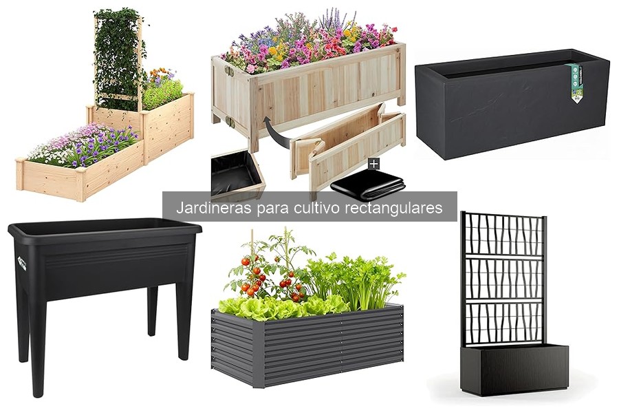 Cómo elegir la mejor jardinera rectangular para cultivo