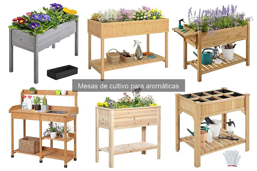 Cómo elegir la mejor mesa de cultivo para hierbas aromáticas