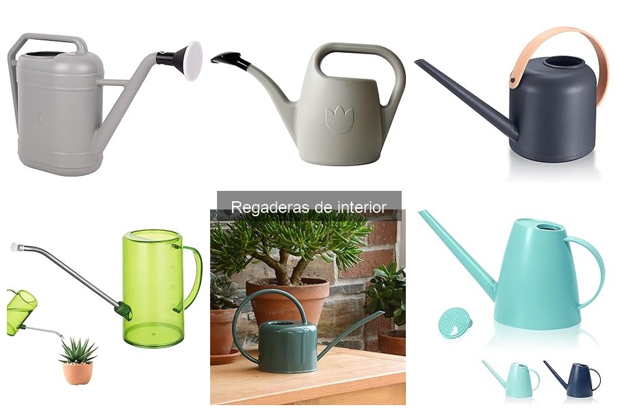 ¿Cómo elegir la mejor regadera para plantas de interior?