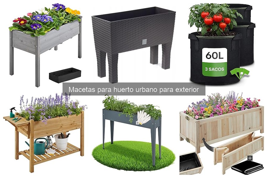 ** Cómo elegir macetas en climas cálidos para tu huerto urbano
