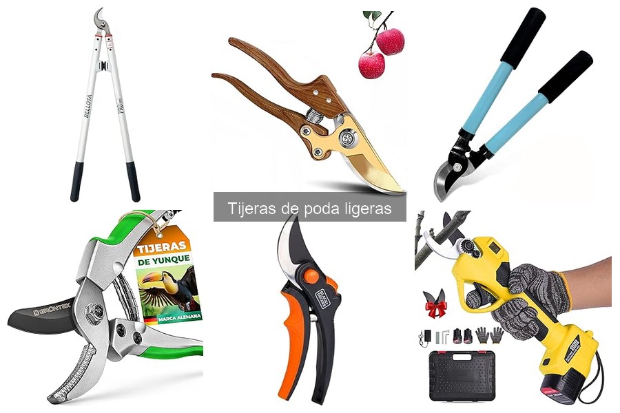** Cómo elegir tijeras de poda ligeras para principiantes