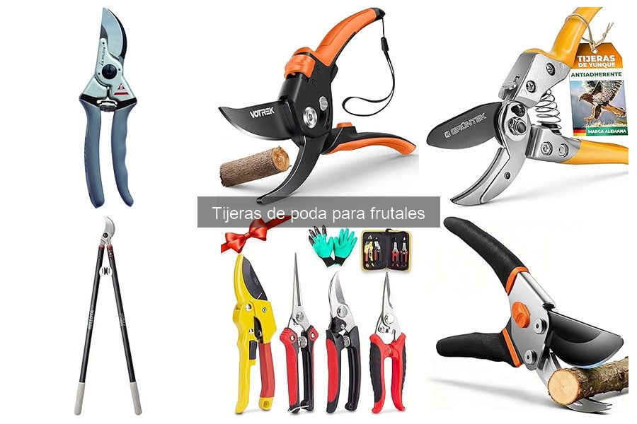 Cómo elegir tijeras de poda para frutales: guía de compra