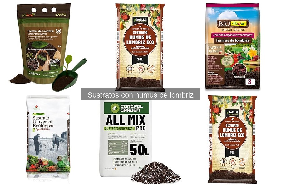 Cómo evaluar la calidad de sustratos con humus de lombriz