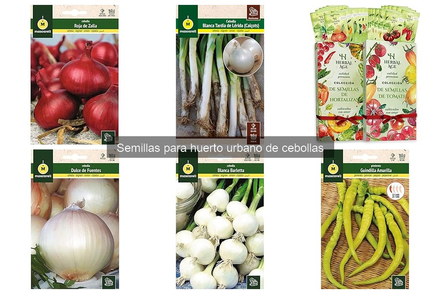 Cómo germinar semillas de cebolla en 5 pasos