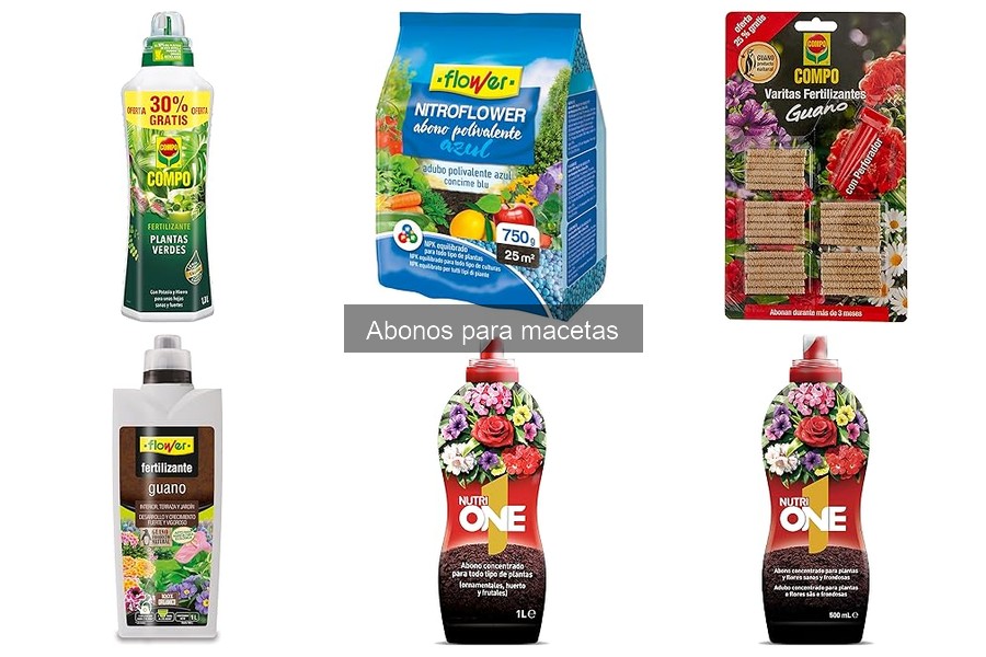 Cómo Hacer Abono Casero para Macetas en 5 Pasos