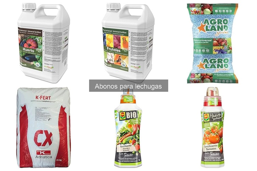 Cómo hacer abono orgánico para lechugas en casa