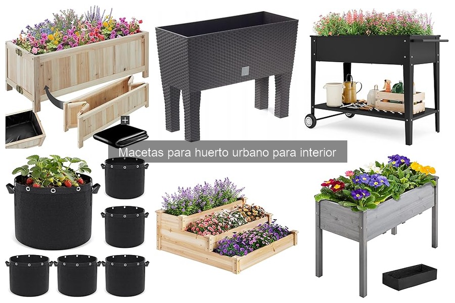 Cómo Hacer Macetas Recicladas para Huerto Urbano en Interior