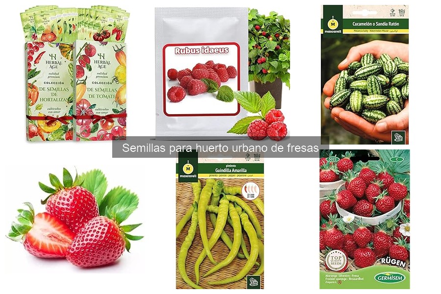 Cómo Hacer un Semillero de Fresas en Casa: Guía Práctica