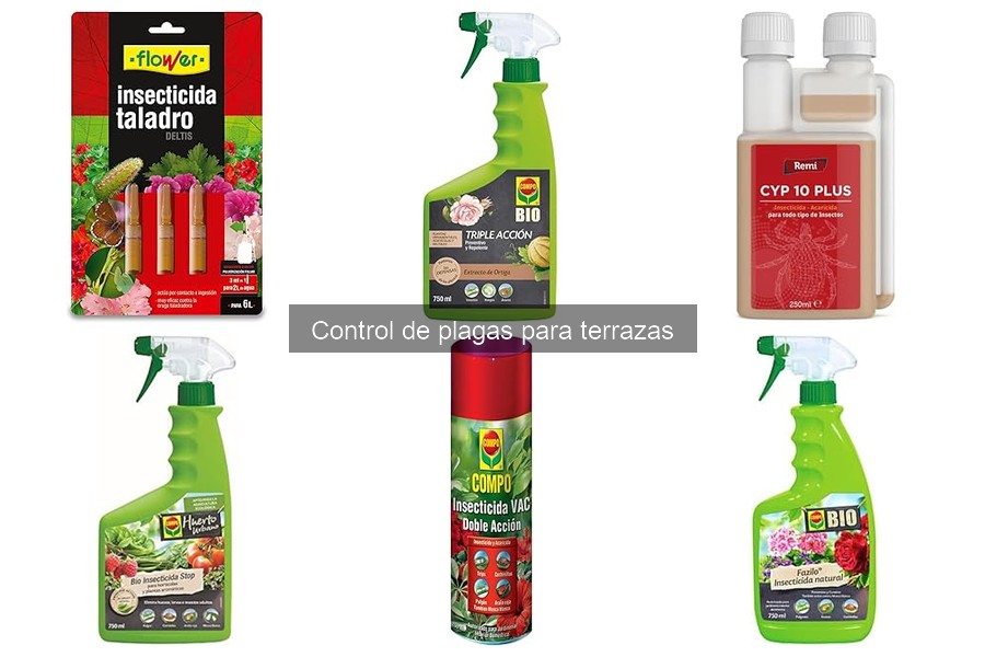 Cómo Identificar Plagas Comunes en Terrazas Eficazmente