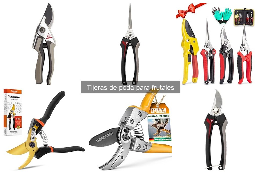Cómo identificar tijeras de poda de calidad para frutales