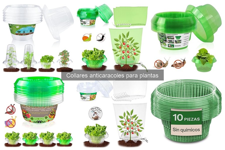 Cómo instalar collares anticaracoles para tus plantas
