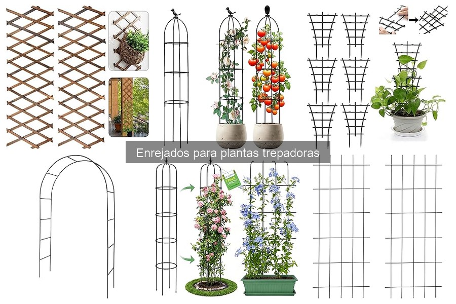 Cómo instalar enrejados para plantas trepadoras fácilmente