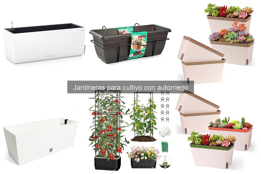 Cómo instalar jardineras con autorriego de manera sencilla