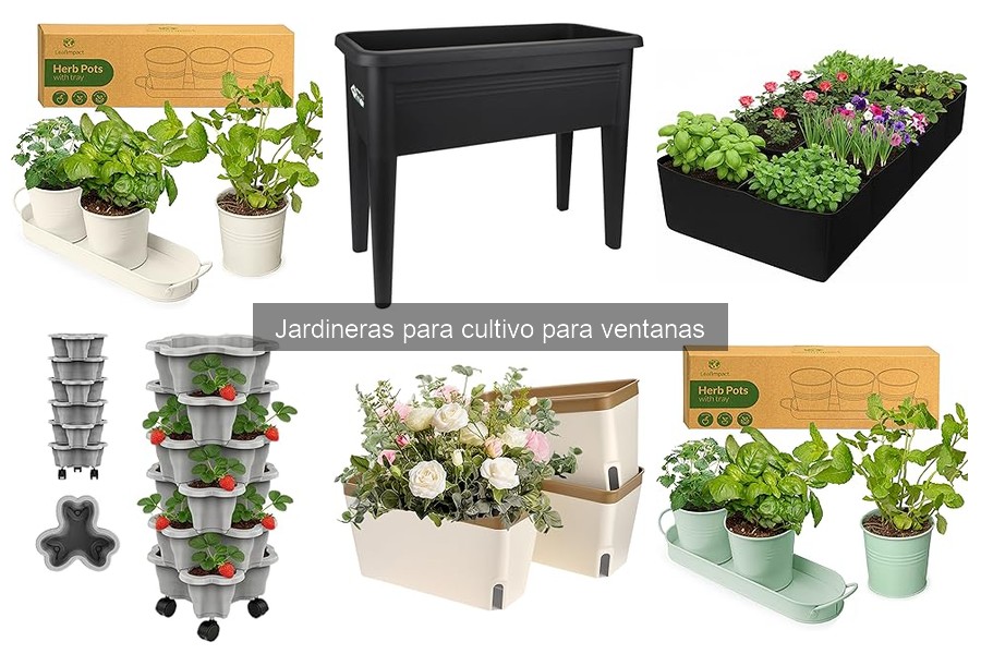 Cómo instalar jardineras de cultivo en ventanas fácil y seguro