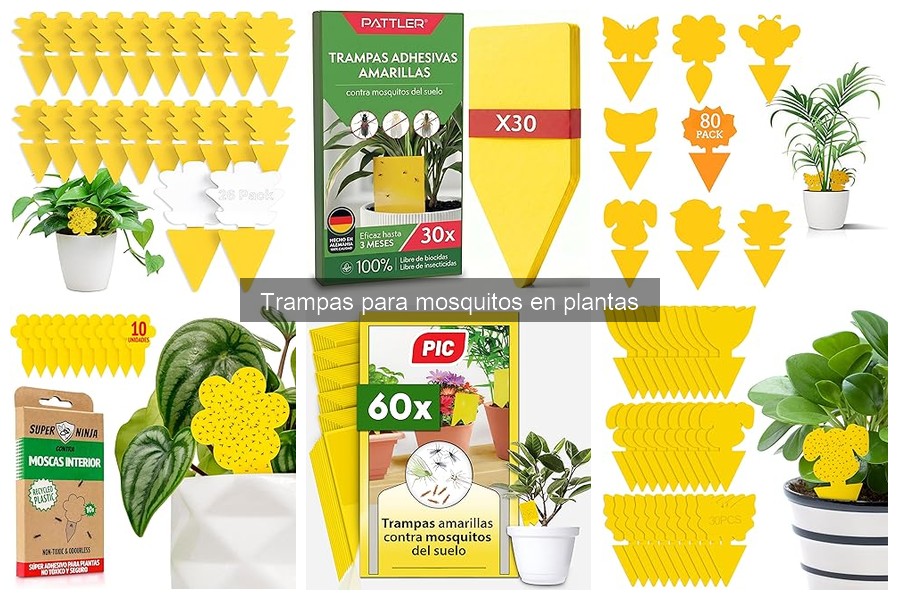 Cómo instalar trampas para mosquitos en plantas fácilmente