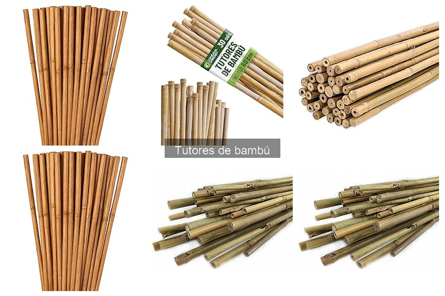 Cómo instalar tutores de bambú en tu huerto urbano