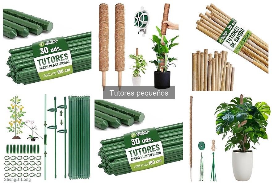 Cómo instalar tutores pequeños en tu huerto urbano