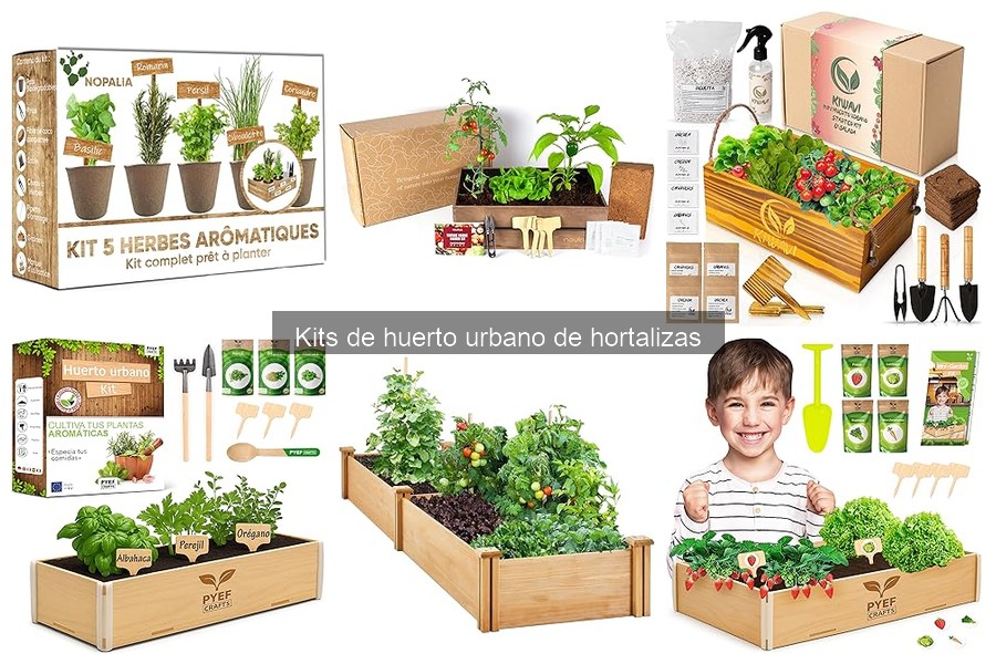 Cómo instalar un kit de huerto urbano de hortalizas fácilmente