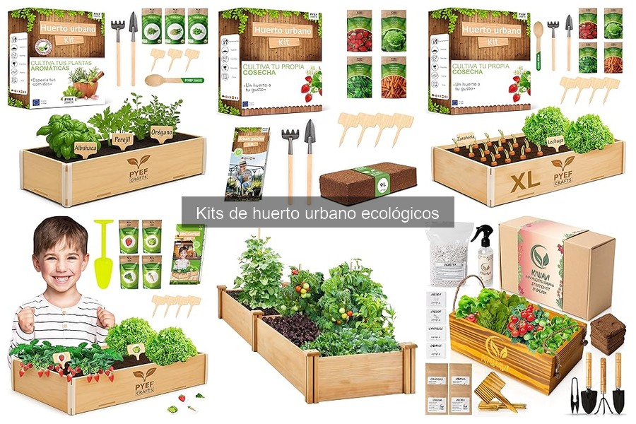 Cómo Instalar un Kit de Huerto Urbano Ecológico