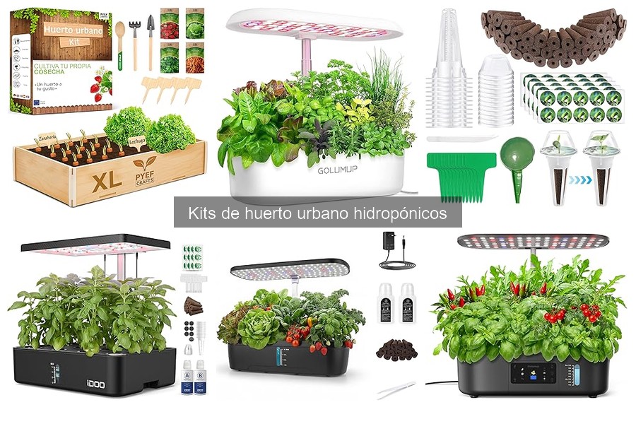 Cómo instalar un kit de huerto urbano hidropónico fácilmente