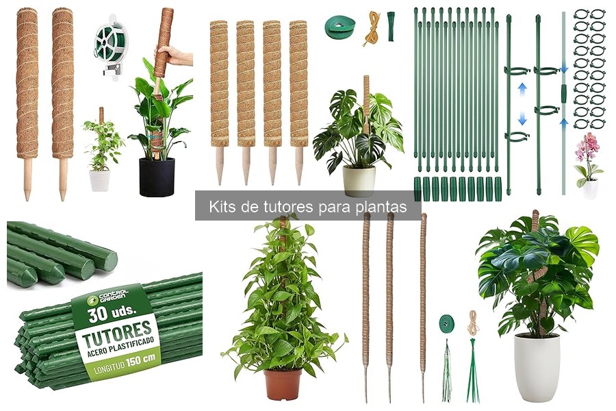 Cómo instalar un kit de tutores para plantas fácilmente