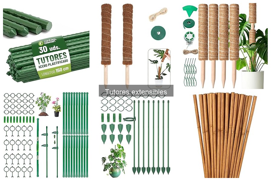 Cómo instalar un tutor extensible para tus plantas