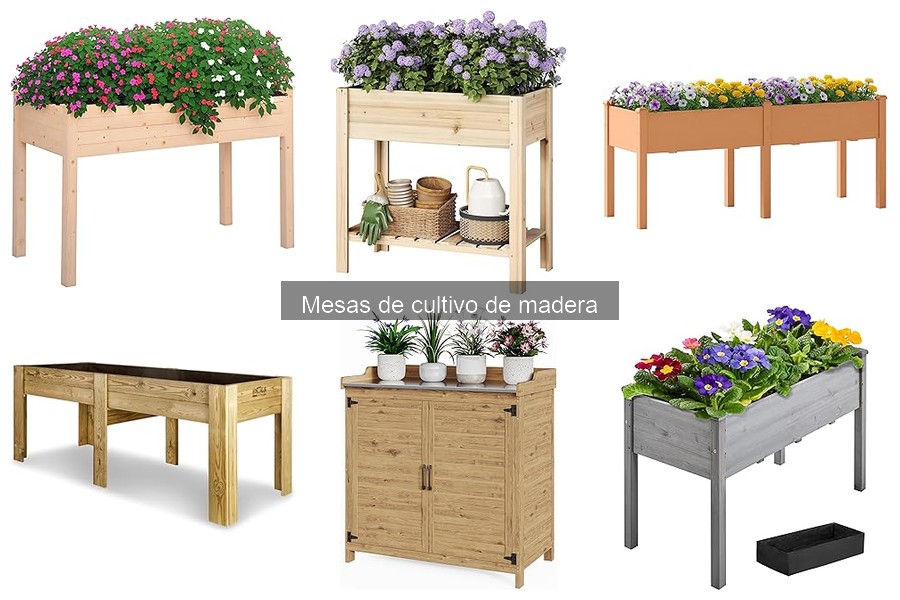 Cómo Instalar una Mesa de Cultivo de Madera en 5 Pasos