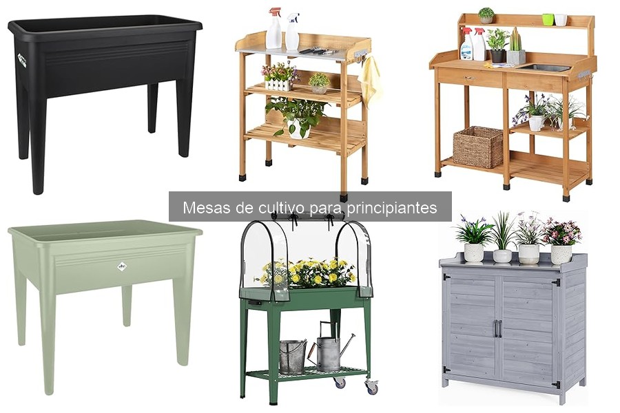 Cómo instalar una mesa de cultivo: Guía para principiantes