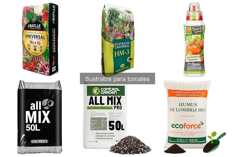 Cómo mantener la calidad del sustrato para tomates