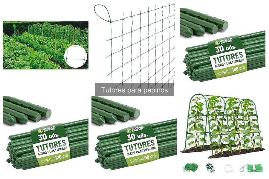 Cómo mantener tutores para pepinos en perfecto estado