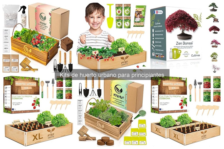 Cómo Optimizar Tu Kit de Huerto Urbano en Casa