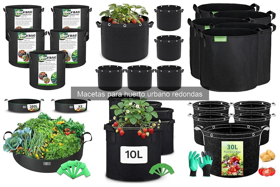 Cómo plantar en maceta redonda: Guía sencilla
