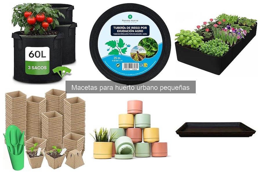 Cómo plantar en macetas pequeñas: Consejos prácticos