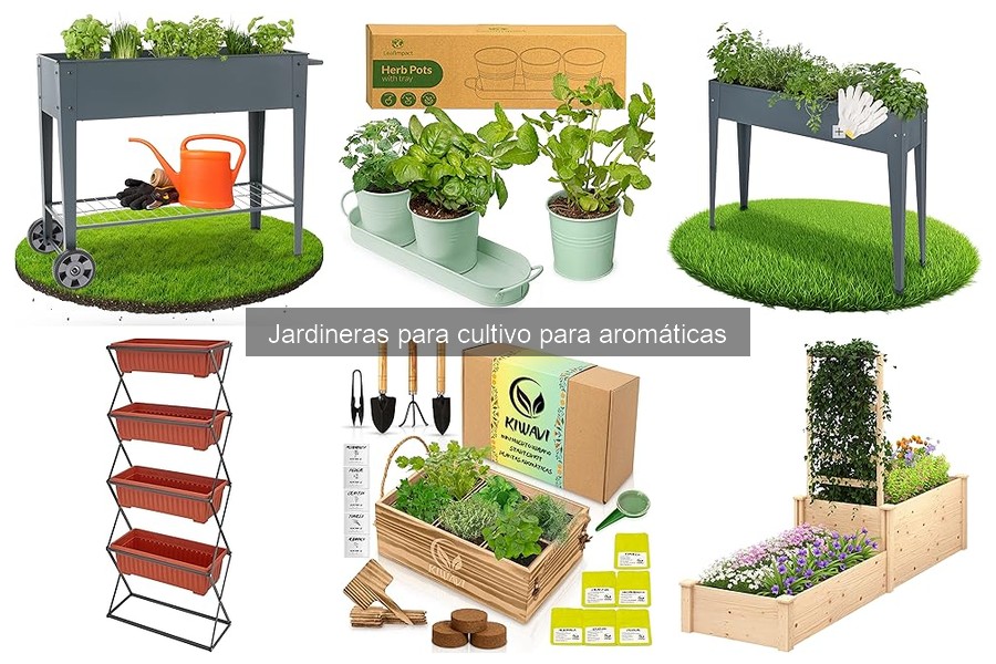 Cómo plantar hierbas aromáticas en jardineras: guía práctica