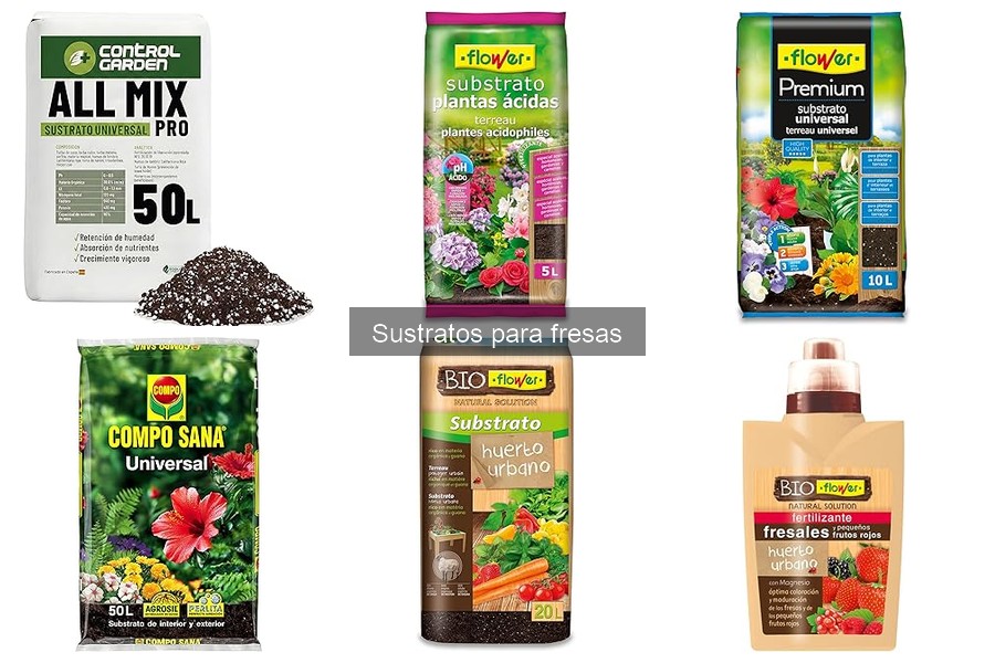 Cómo preparar el sustrato ideal para fresas en casa