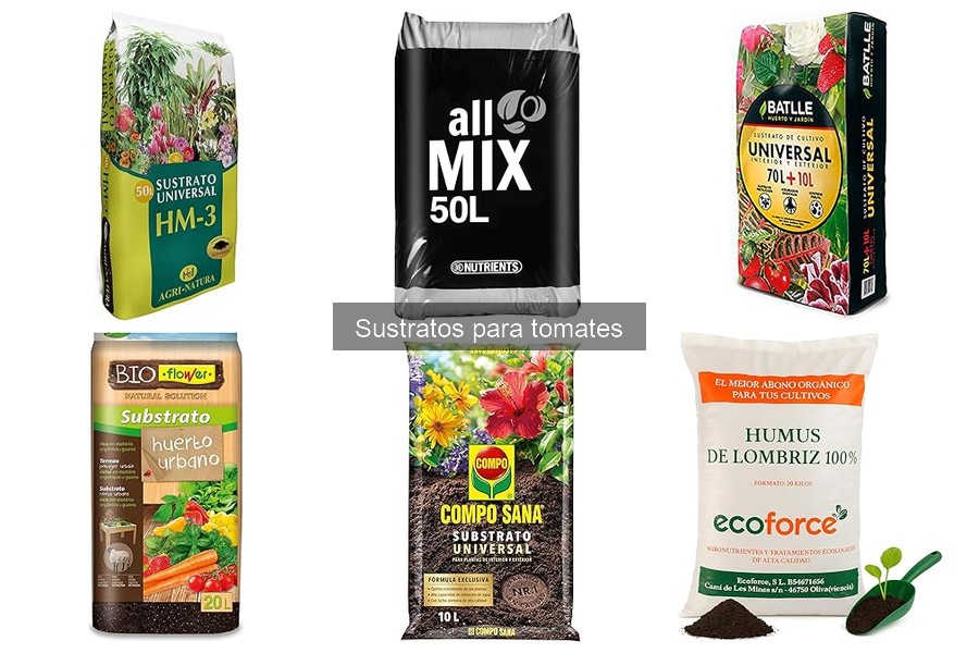 Cómo preparar un sustrato casero para tomates en 5 pasos